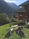 Vue été