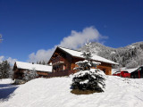 Chalet le Châtel'Ain