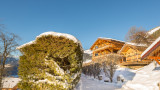 Chalet Joyau des Neiges