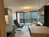 Studio - Les Seilles_Châtel