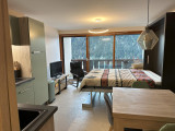Studio - Les Seilles_Châtel
