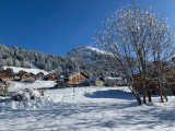 Perce_Neige_Vue-extérieure