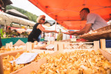 Chanterelles