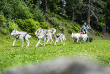 Cani'Kart