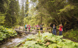 Goûts du Terroir au Fil de L'Eau_Morgins