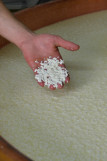 Fabrication du fromage Abondance AOP