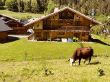 Chalet Une Pénévolée de Neige_Châtel