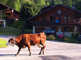 Chalet Chocolat_Châtel