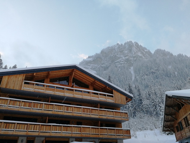 La résidence en hiver avec montagne en arrière plan