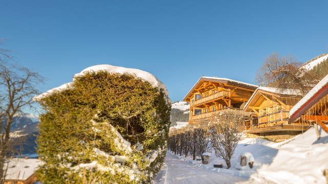 Chalet Joyau des Neiges