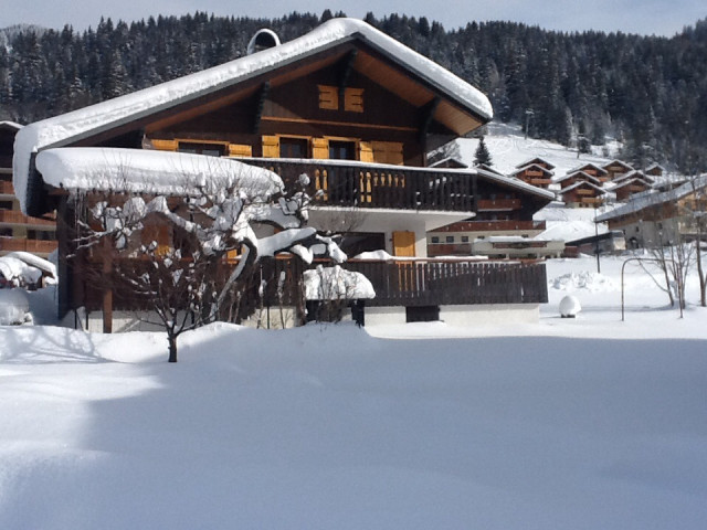 Chalet Perce Neige