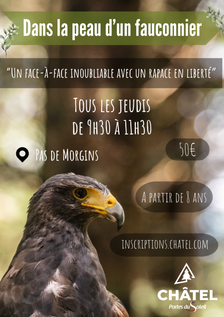 Dans la peau d'un fauconnier_Châtel