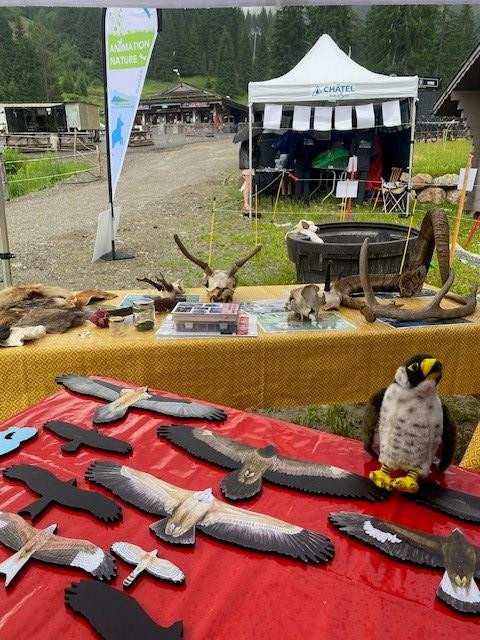 Stand with environmental activities for children