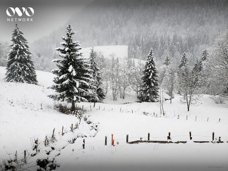 Chalet Q - Vue du chalet en hiver