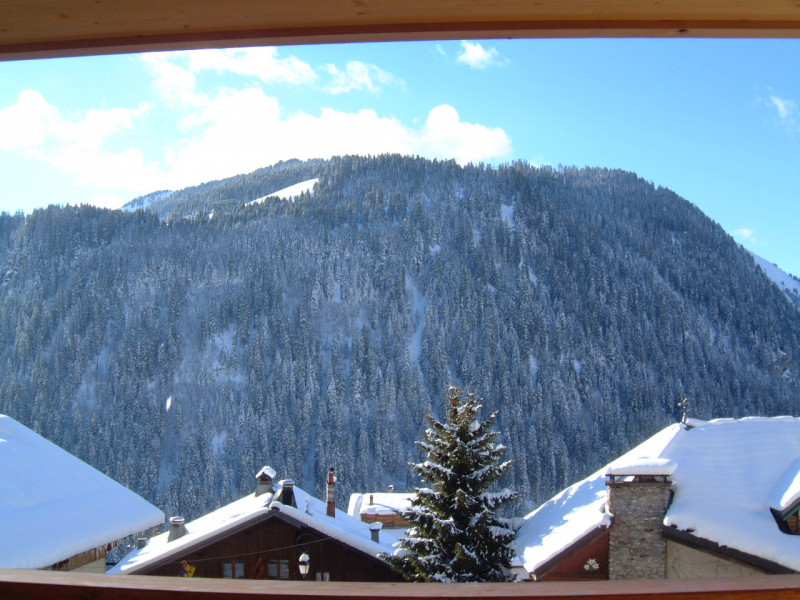 Vue sur le Mont de Grange depuis le balcon