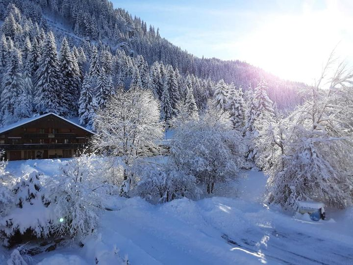 Chalet l'Orée du Lac