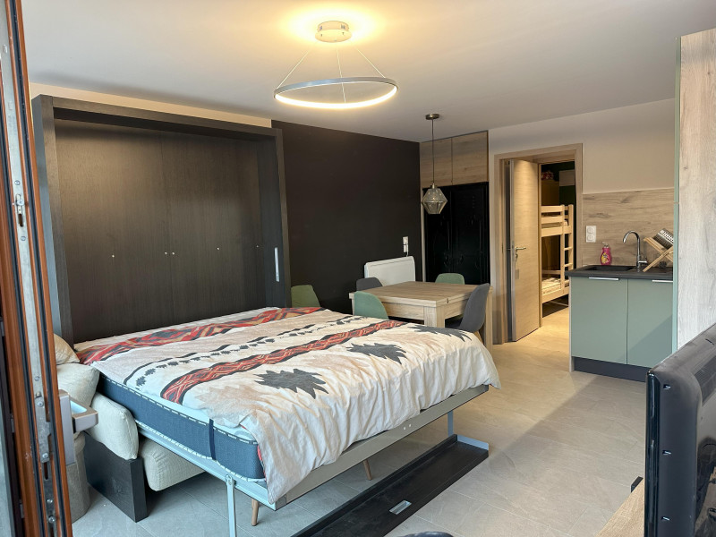 Studio - Les Seilles_Châtel