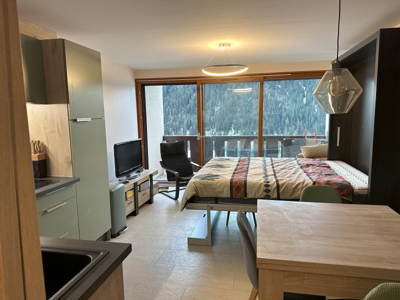 Studio - Les Seilles_Châtel