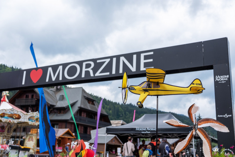 Morzine marmots