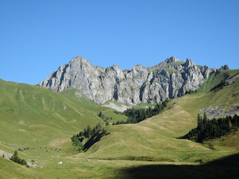 Le tour des Pavis