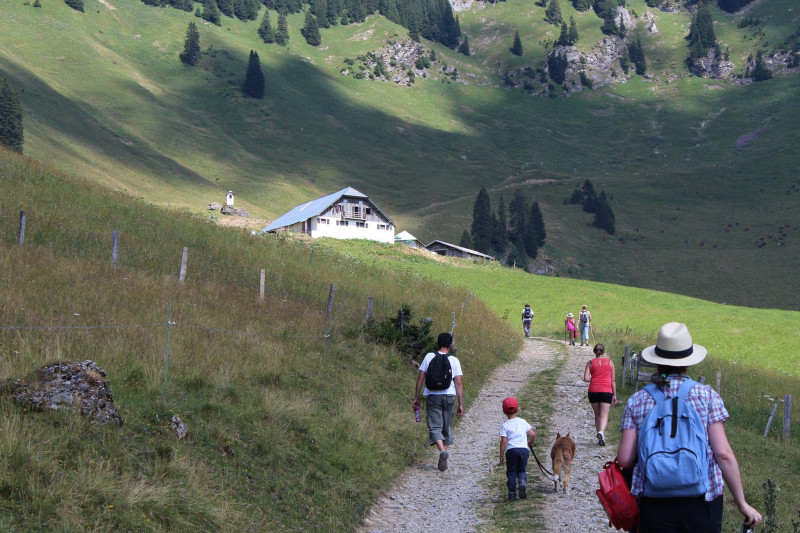 Goûter à l'alpage