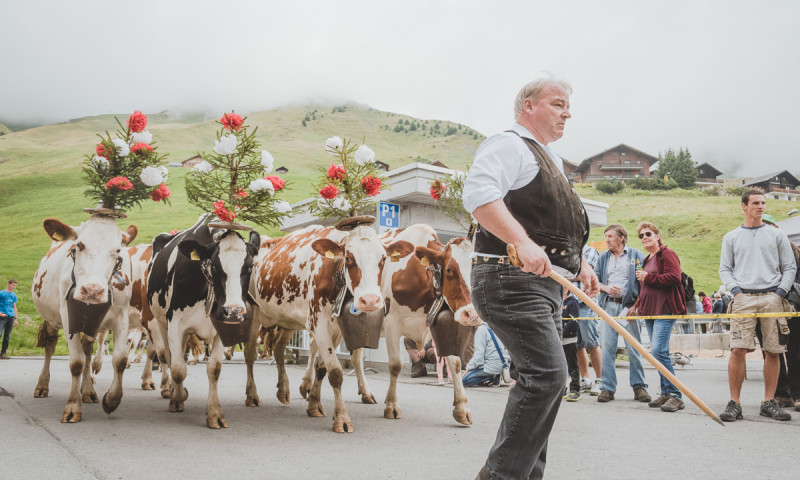 foire_betail2.jpg