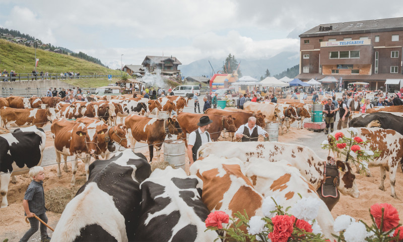 foire_betail4.jpg