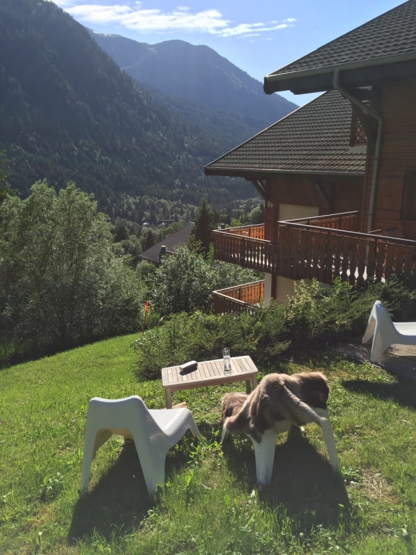 Neige et soleil