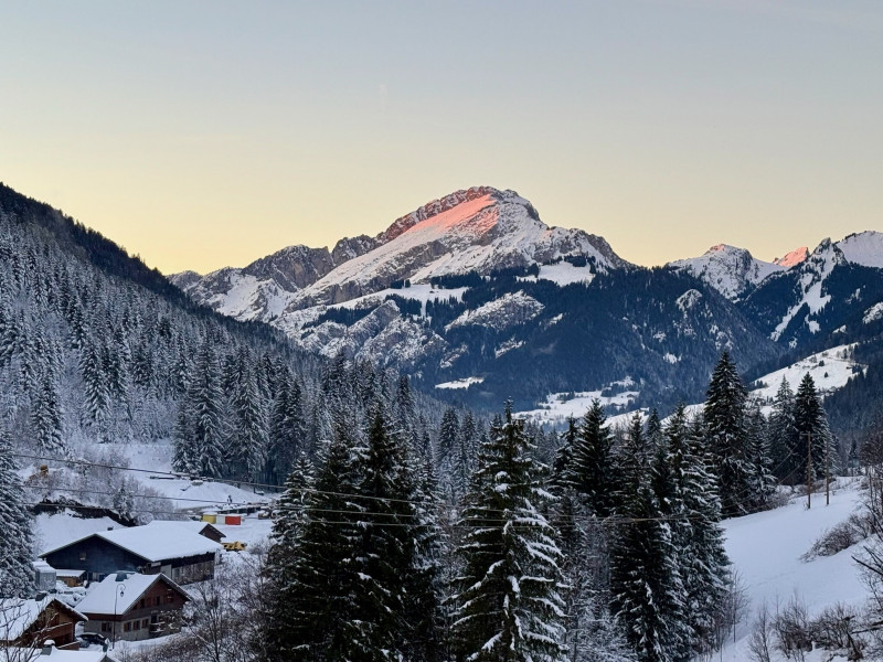 4 pièces - Les Chevreuils 6_Châtel