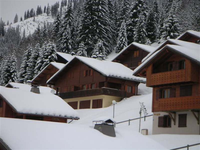 Chalet - Chalet du Morclan
