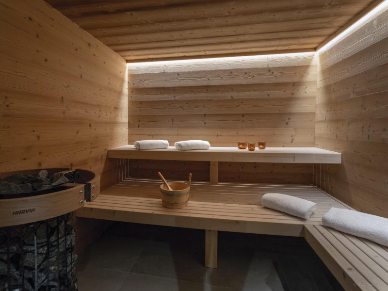 Chalet la Cachette_Châtel